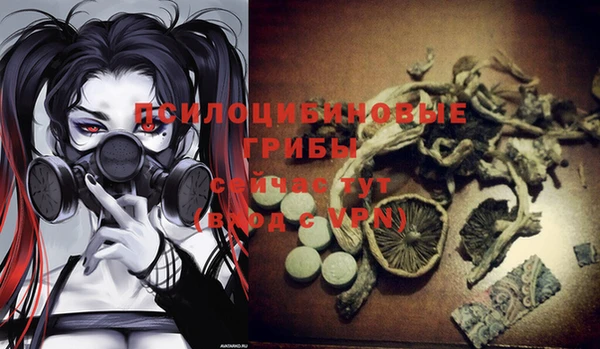 альфа пвп Богданович