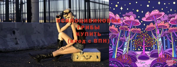 не бодяженный Богородск