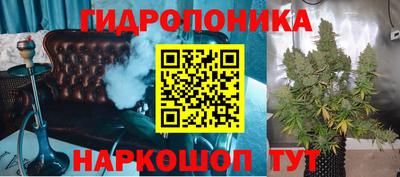 гашик Ирбит
