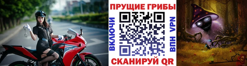 Галлюциногенные грибы MAGIC MUSHROOMS  цена   MEGA ТОР  Среднеуральск 