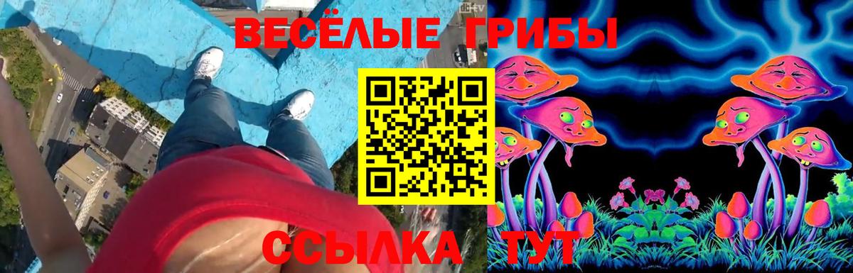 Галлюциногенные грибы Psilocybine cubensis  Вход с VPN  Среднеуральск  Псилоцибиновые грибы прущие грибы 
